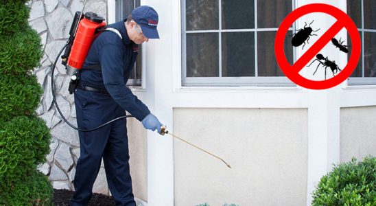 Devrekani Kemirgen İlaçlama böcek ilaçlama ve haşere kontrolü — ilaclama-tr.com